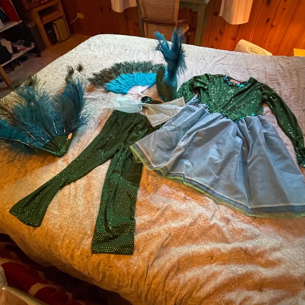 Chasing Fireflies Peacock costume girls 16